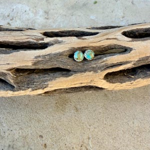 May include: A pair of turquoise stud earrings with a silver-colored setting. The earrings are round and feature a light blue-green stone with a textured surface. They are displayed on a piece of weathered wood.