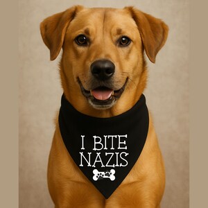 Puede incluir: Un golden retriever sonriente con un pañuelo negro. El pañuelo tiene el texto blanco "I BITE NAZIS" y un gráfico de hueso blanco. El perro está centrado en el marco, con un fondo neutro.