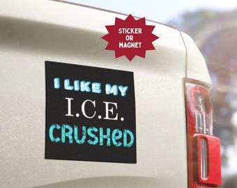 Abolish ICE Sticker/Magnet: Anti-ICE Political Activism