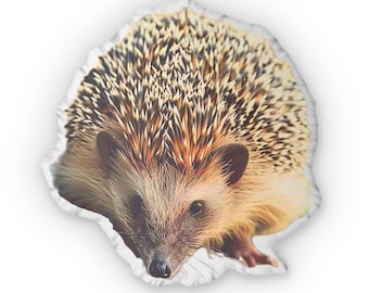 Family Pet Hedgehog Shaped Pillow | Hedgehog Home Decor | Cutecore Decor | Hedgehog  Pillow | Hedgehog Lovers Gift Kawaii Pillow Teen Decor