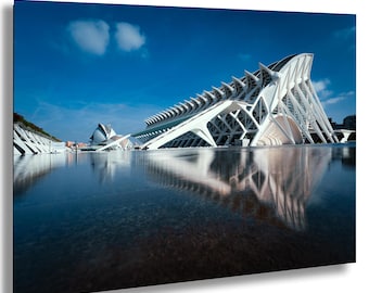 The City of Arts and Sciences - Valencia, Spain
