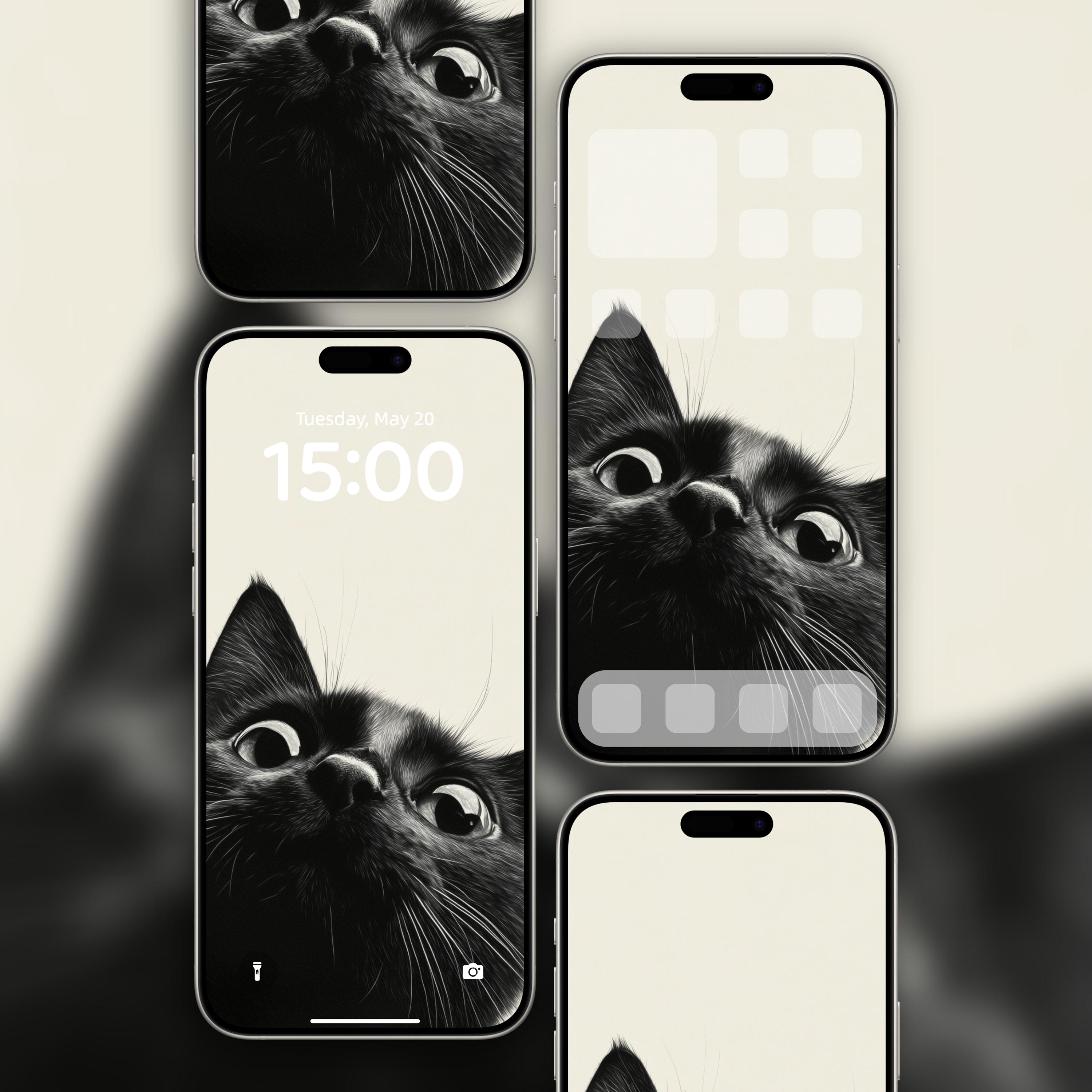 かわいい猫の携帯電話の壁紙背景 無料ダウンロードのための壁紙画像 - Pngtree, image size:3000x3000