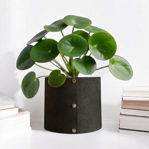 small plant pot cover handmade from vegan leather, scandi, stylish, modern, plant pot, customizable size, gift for plant lovers