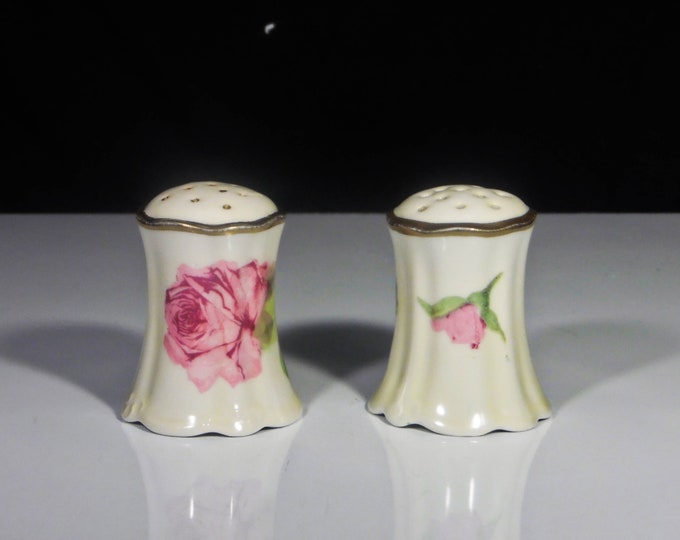 Porcelain Salt And Pepper Shakers, O & E G Royal Austria (Oscar And Edgar Gutherz) 1899 - 1918