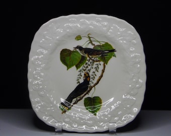 Pottery Luncheon Plate, Alfred E Meakin, England, Kingbird, Plate 79, Birds of American, Audubon, ca 1940s