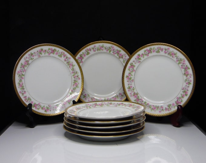 Porcelain Dessert Plate, C A Ahrenfeldt, LImoges, France, made for C R Boas, Harrisburg, PA, hand painted pink rose band 1894 - 1920