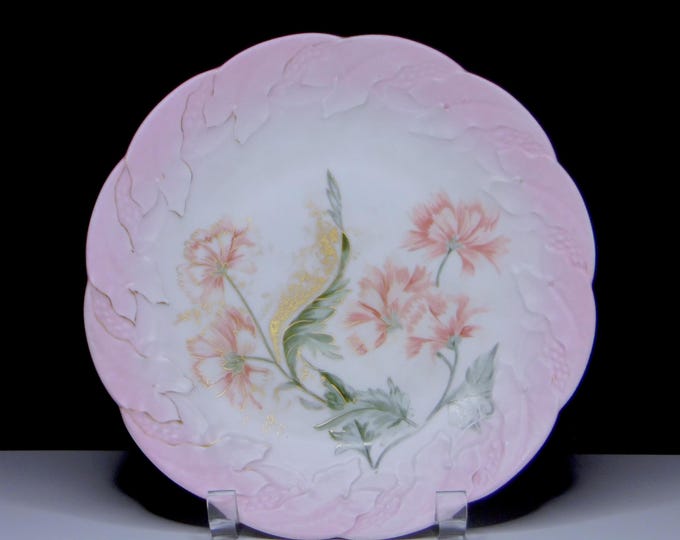 Porcelain Plate, Delinieres and Company (D & Co) Limoges, France 1885 - 1894