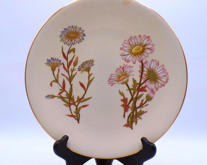 Porcelain (China) luncheon or coupe plate, Royal Worcester Porcelain for Bailey Banks and Biddle, Philadelphia 1860-1867