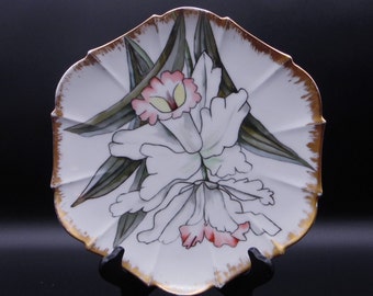 Porcelain Plate, T & V (Tressemann and Vogt) Limoges, France, artist signed, 1888