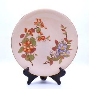 May include: A decorative plate with a light pink background and a gold rim. The plate features hand-painted floral designs in orange, green, and purple. The plate is displayed on a black stand.