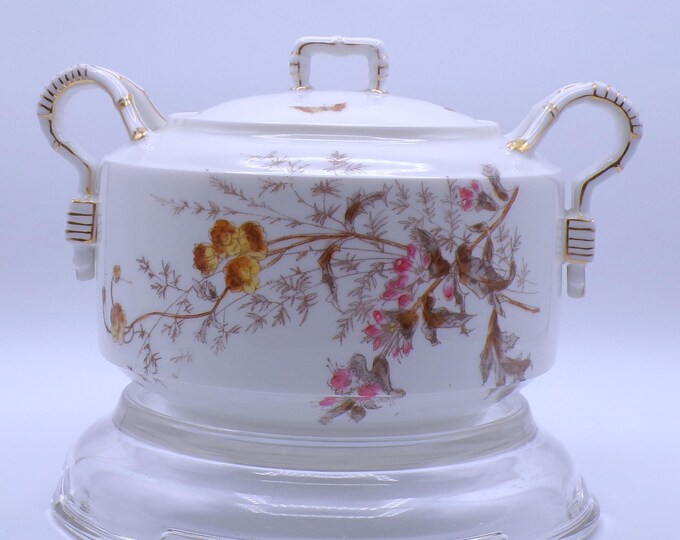Charles Field Haviland Porcelain Cracker Jar: Yellow Butterfly Floral, 1882-1891