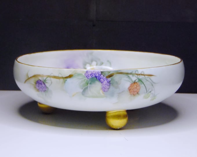 Porcelain Ferner, Tressaman and Vogt (T & V), Limoges, France, Hand Painted, 1891 - 1907