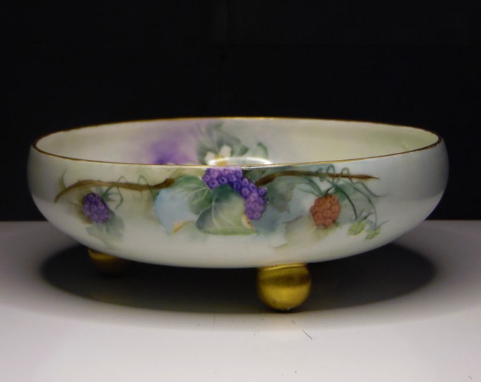 Porcelain Ferner, Tressaman and Vogt (T & V), Limoges, France, Hand Painted, 1891 - 1907