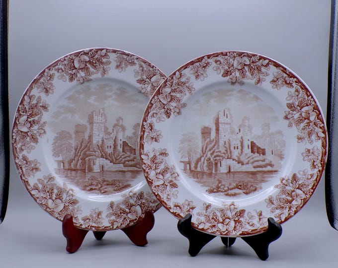 Pottery Luncheon/Salad Plate, W T Copeland And Sons, Stoke On Trent, England, Acora, Brown 1867 - 1890