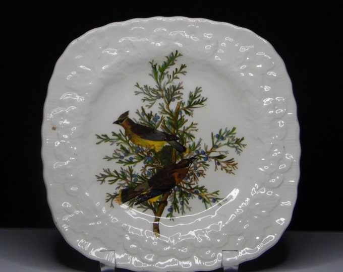 Pottery Luncheon Plate, Alfred E Meakin, England, Cedar Bird, Birds of American, Audubon, Plate 43 ca 1940s