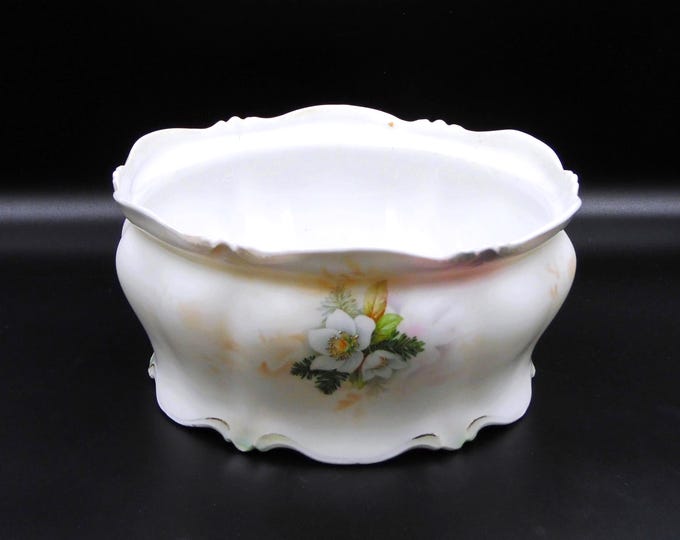 RS Prussia Porcelain Ferner, Mold 881, Dogwood and Pine, Satin Finish, 1890-1914