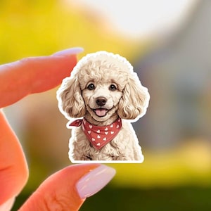 Cream Poodle Sticker Adorable Mini Puppy Kawaii Dog Portrait Vinyl Decal for Laptop Water Bottle Pet Lover Gift Matte Waterproof Sticker