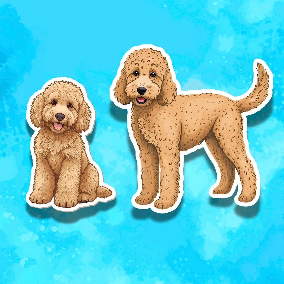 ゴールデンドゥードル 成長過程 | TikTok, image size:1080x1080