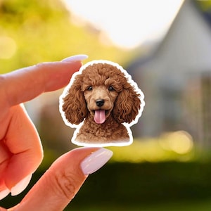 Adesivo fofo de poodle vermelho, adesivo de cachorro, poodle toy, adesivo de retrato de cachorro, vinil fosco, adesivo para laptop, adesivo para garrafa de água, adesivo para presente