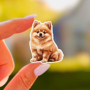 Cute Pomeranian Sticker Kawaii Dog Portrait Vinyl Decal for Laptop Water Bottle Pet Lover Gift Matte Waterproof Puppy Sticker