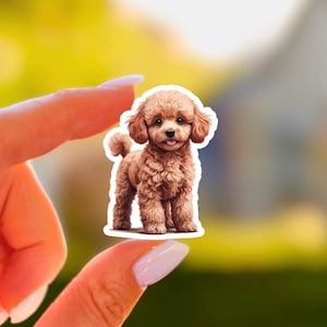 Peut inclure: Un autocollant représentant un chiot caniche marron avec un pelage touffu, la langue tirée. L'autocollant a une bordure blanche et est tenu entre deux doigts sur un fond flou.