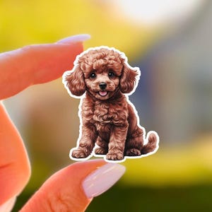 Red Poodle Sticker Kawaii Toy Dog Portrait Vinyl Decal Cute Puppy Cartoon for Laptop Water Bottle Dog Lover Gift Matte Waterproof Sticker