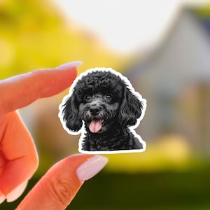 Black Poodle Sticker Mini Puppy Kawaii Dog Portrait Vinyl Decal for Laptop Water Bottle Pet Lover Gift Matte Waterproof Puppy Sticker