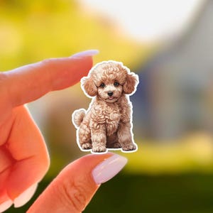 Apricot Poodle Sticker Kawaii Toy Dog Vinyl Decal for Laptop Water Bottle Matte Waterproof