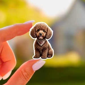 Red Poodle Sticker Cute Mini Poodle Puppy Portrait Kawaii Dog Vinyl Decal for Laptop Water Bottle Dog Lover Gift Matte Waterproof Sticker