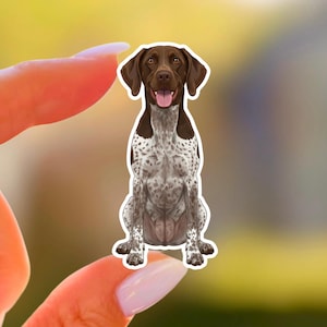May include: A sticker featuring a German Shorthaired Pointer dog in a sitting position. The dog has brown and white spotted fur, with brown ears and a brown head. The dog's tongue is visible, and the sticker has a white border.