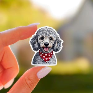 Adesivo fofo de poodle, adesivo de cachorro, adesivo de poodle cinza, adesivo de cachorrinho, adesivo de mini poodle, adesivo de retrato de cachorro, adesivo de vinil fosco para laptop, presente