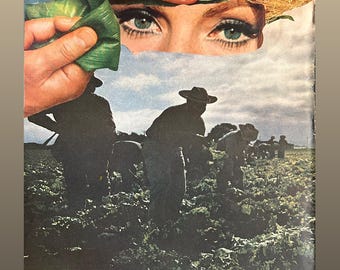 Toil Art Print, Farmhands, Lettuce Fields of California
