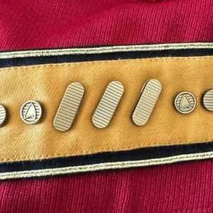 Spacefleet Commendation and Duty Pips & Squeaks - gold or silver- for Monster Maroon