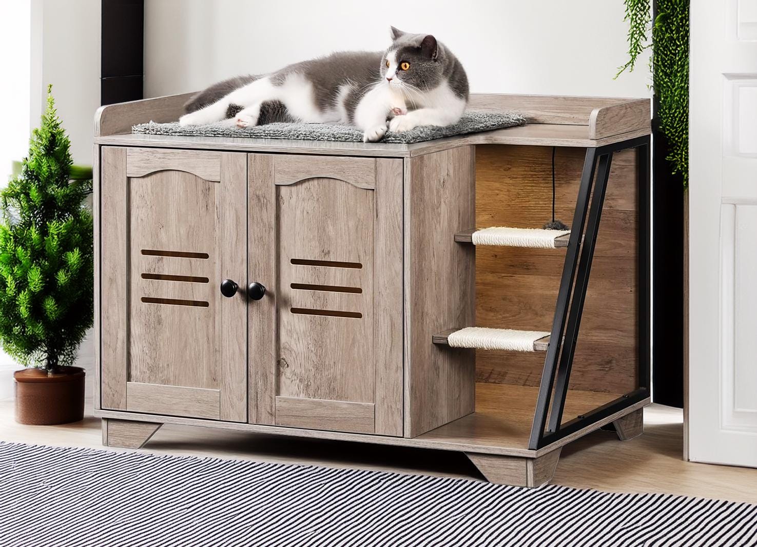 Litter Box Hayneedle Dog Bed Litter Box Hayneedle Cat Tree Cat