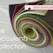 see more listings in the Felt Collections section