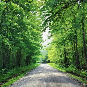 May include: A winding dirt road through a lush green forest. The road is lined with tall trees on both sides, creating a tunnel of foliage. Sunlight filters through the leaves, casting dappled shadows on the ground.