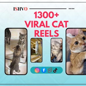 以下が含まれることがあります： スマートフォンで猫の動画を紹介する画像。テキストは「1300+ VIRAL CAT REELS」と表示されています。Instagram、Facebook、TikTokのソーシャルメディアアイコンがあります。画像には、立ったり遊んだりするなど、さまざまなポーズの猫が含まれています。
