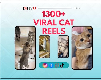 Viral Cat Videos Bundle: 1300+ Funny Reels, PLR & MRR (Instant Download)