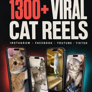Viral Cat Videos Bundle: 1300+ Funny Reels, PLR & MRR (Instant Download)