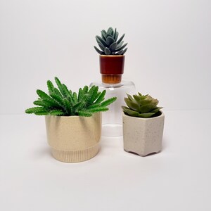 Può includere: Tre piccole piante grasse in vaso in vasi beige, marroni e maculati. Le piante hanno foglie verdi, appuntite e arrotondate. I vasi sono disposti su una superficie bianca, con un supporto in vetro trasparente che sostiene uno dei vasi.