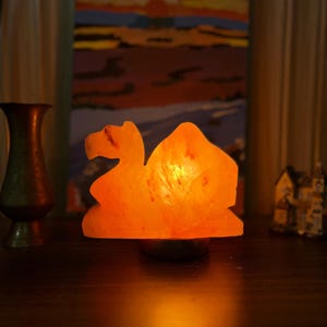 Camel shape Pink Himalayan Salt Lamp Warm Light relax –Home Decor , Meditation gift Relaxation & Zen Decor | Perfect Mindful Gift