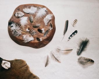 Natural Bird Feather Set, Woodcock, Pheasant, Buzzard, Craft Feathers