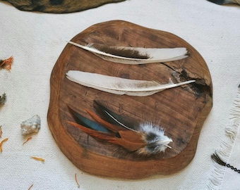 feather set, natural molt rooster feathers ethically sourced, cleansed and restored