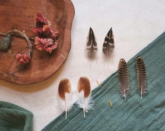 Feather Set, Woodcock, Duck, Chicken Feathers