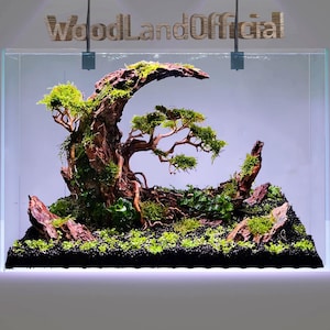 Aquarium rock dragon stone aquascaping hardscape bonsai aquascape driftwood fish tank decorations