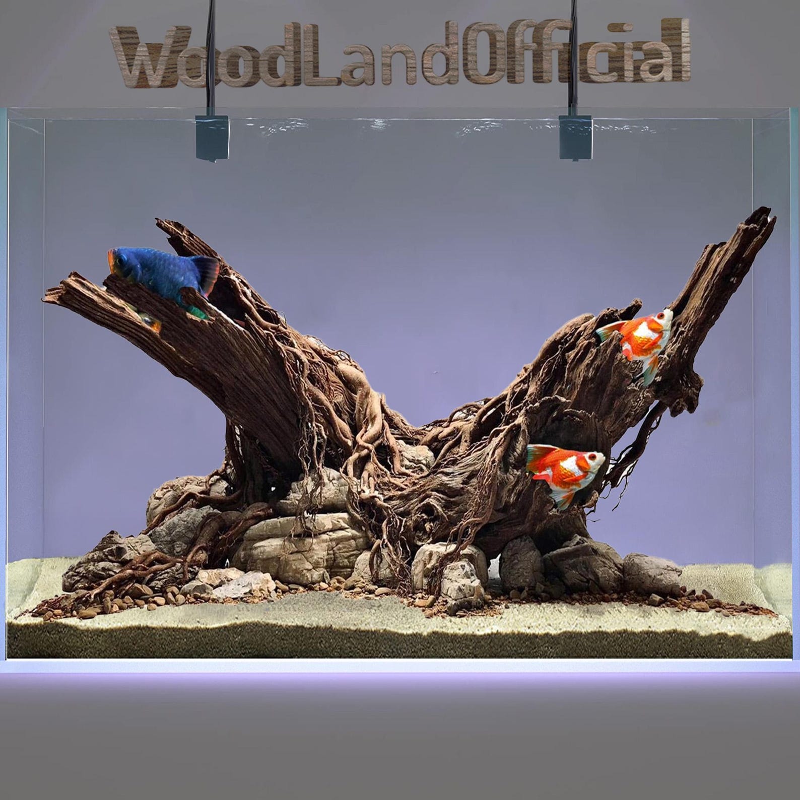 Aquarium Driftwood Large Aquatic Plants Aquascaping Stone Aquascape ... - Enhancing Aquariums With Colorful Driftwood