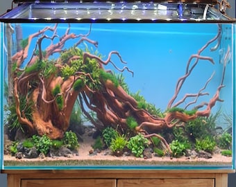 Driftwood for aquarium hardscape manzanita bonsai aquascape rocks real fish tank decor