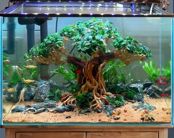 水槽用流木盆栽、水草、水槽装飾用植物 - Etsy 日本
