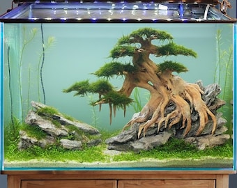 盆栽流木水槽水景岩盆栽水槽の装飾用 - Etsy 日本