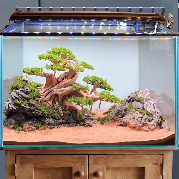 Driftwood Bonsai Aquarium Rock Aquascape Drift Wood Hardscape